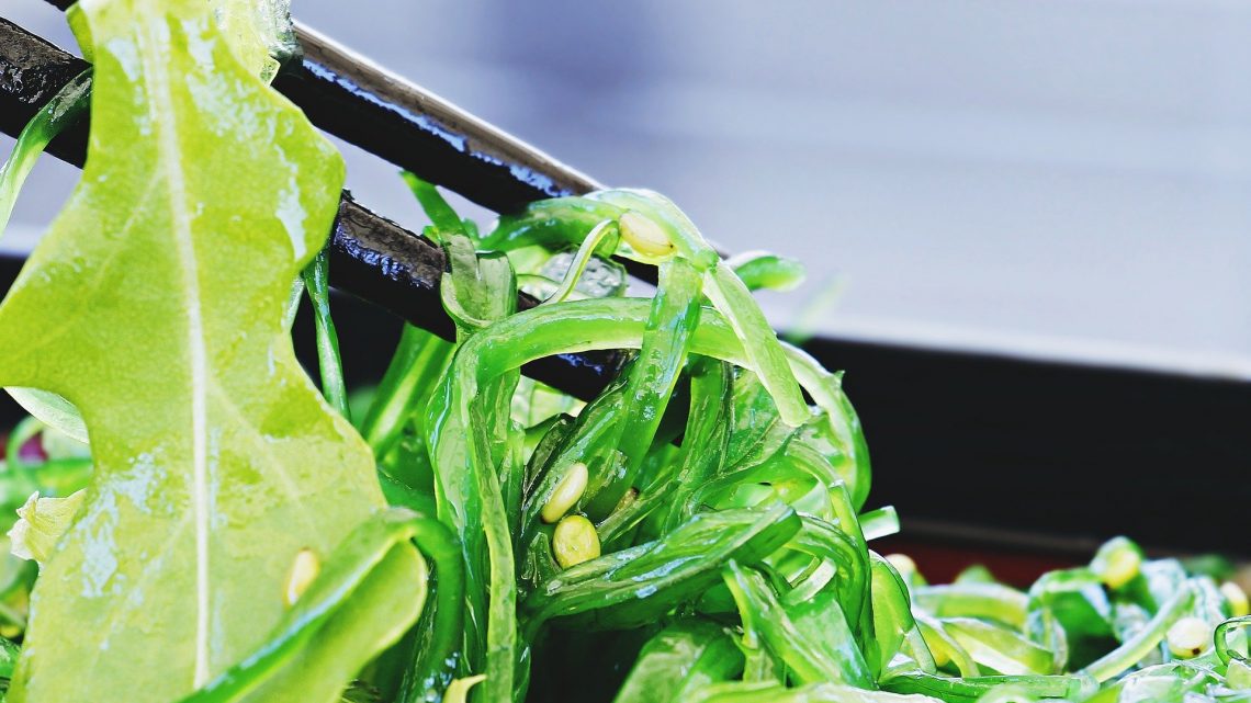 Las Algas: Las verduras del mar